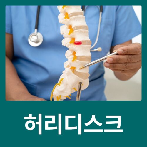 허리디스크