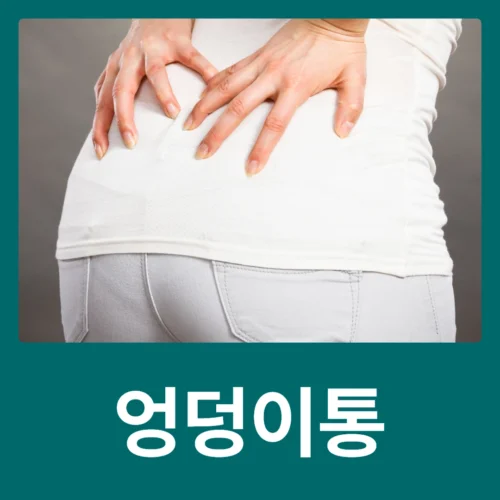 동대문정형외과 허리 통증이 엉덩이까지 이어지는 이유는 무엇일까요